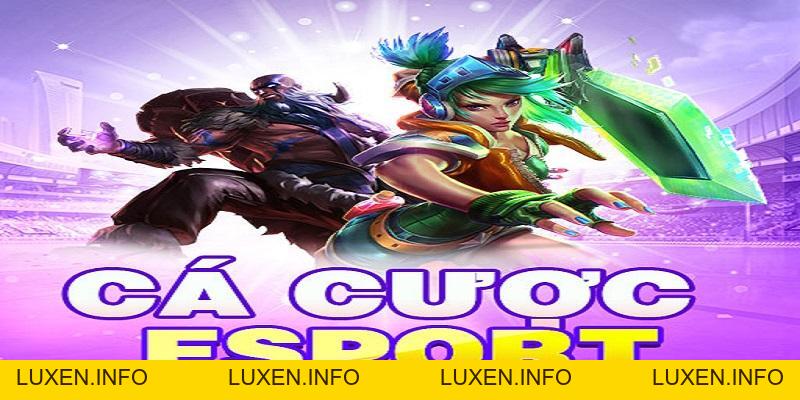 Hướng Dẫn Cá Cược Esports Tại F168 Cho Newbie 2026 - luxen.info Hướng Dẫn Cá Cược Esports Tại F168 Cho Newbie 2026 - luxen.info