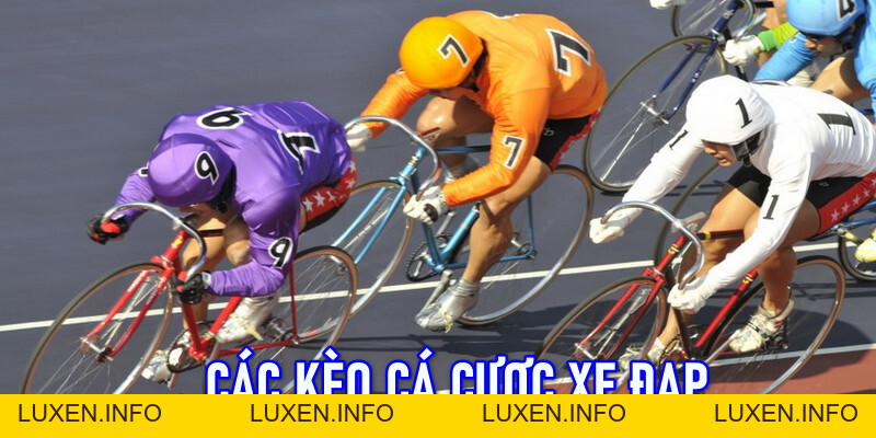 Mẹo Phân Tích Xu Hướng Trong Cá Cược Xe Đạp Tại F168 - luxen.info Mẹo Phân Tích Xu Hướng Trong Cá Cược Xe Đạp Tại F168 - luxen.info