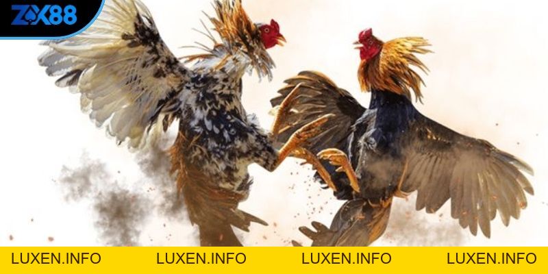ZX88 | Nhà Cái ZX88 COM Hàng Đầu Châu Á 2026 - Đăng Ký + 888k - luxen.info