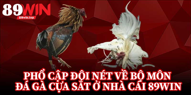 Đá Gà Cựa Sắt 89WIN - Điểm Đến Của Những Người Đam Mê Đá Gà - luxen.info