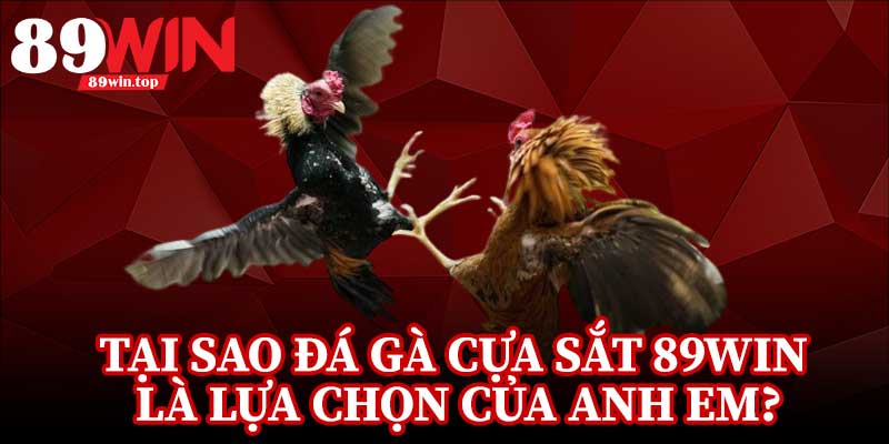 Đá Gà Cựa Sắt 89WIN - Điểm Đến Của Những Người Đam Mê Đá Gà - luxen.info