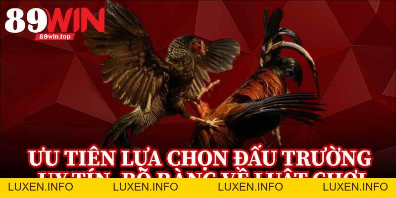 Đá Gà Cựa Sắt 89WIN - Điểm Đến Của Những Người Đam Mê Đá Gà - luxen.info